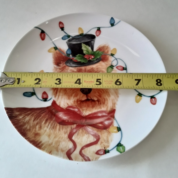 Plate Christmas lights on yorkie dog - Picture 2 of 4